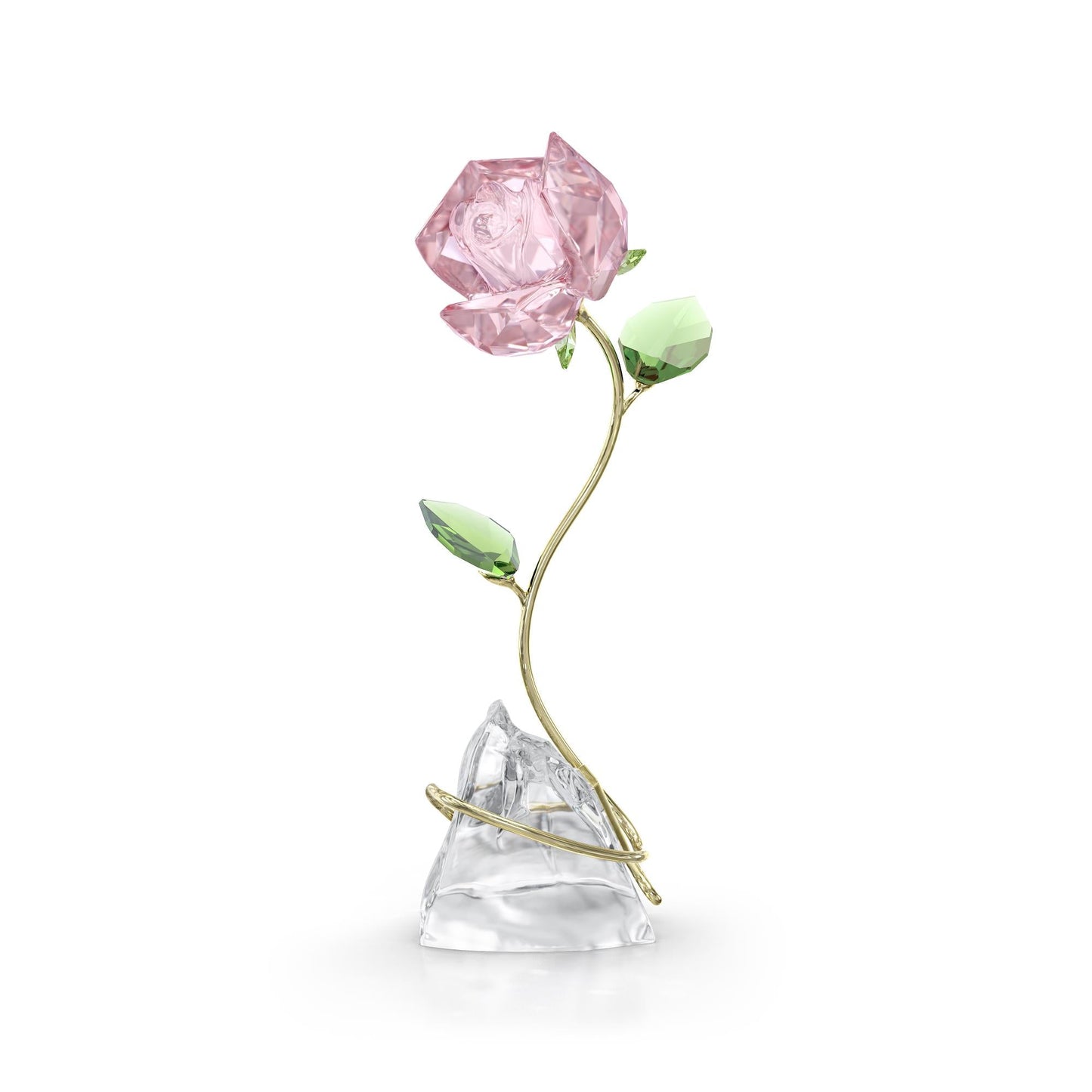 Florere Rosa