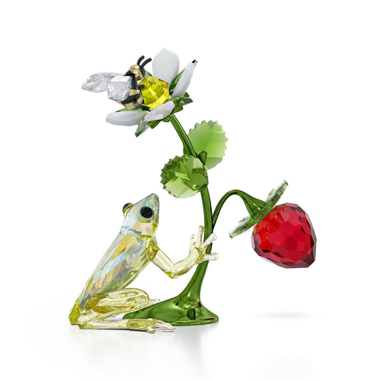 Idyllia Rana, Abeja y Fresa